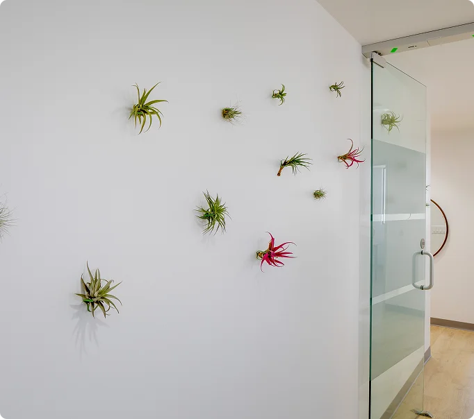 City of Angels Dentistry interior detail
